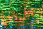 Water reflection, Furuichi Kofungun, water surrounding ancient burial mound, Habikino, Osaka, Japan Art Print